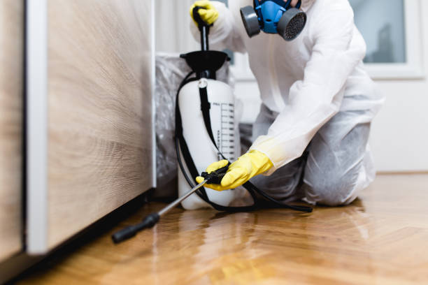 Best Exterminator Services  in Fort Thomas, KY