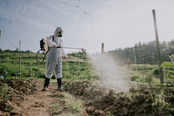Best Mosquito Control Services  in Fort Thomas, KY