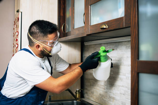 Reliable Fort Thomas, KY Pest Control Solutions