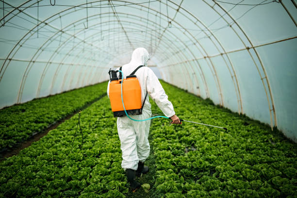 Best Affordable Pest Control Services  in Fort Thomas, KY
