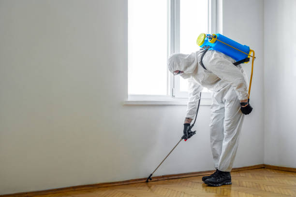 Best Termite Control Services  in Fort Thomas, KY