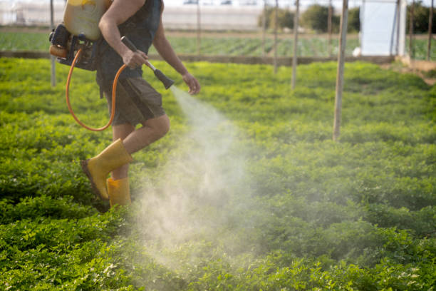 Best Residential Pest Control  in Fort Thomas, KY