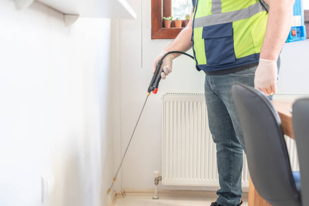 Best Flea Control Services  in Fort Thomas, KY